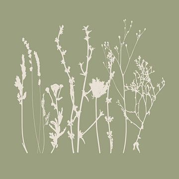 Meadow Botanical art in Sage Green and Beige no. 7 by Dina Dankers