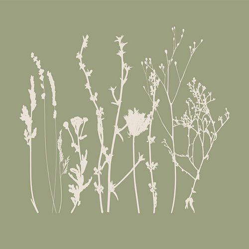 Meadow Botanical art in Sage Green en Beige nr. 7
