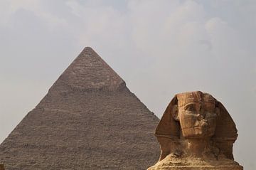 Sphinx of Giza, Egypt, next to the pyramids