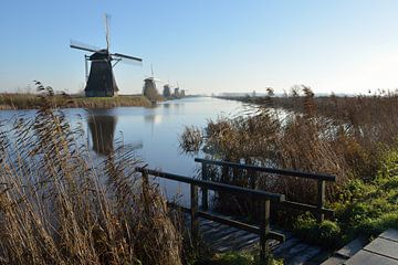 Molens in Kinderdijk op een koude morgen van Evert-Jan Hoogendoorn