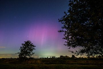 Aurora Nederland, Northern lights Netherlands van Corrine Ponsen