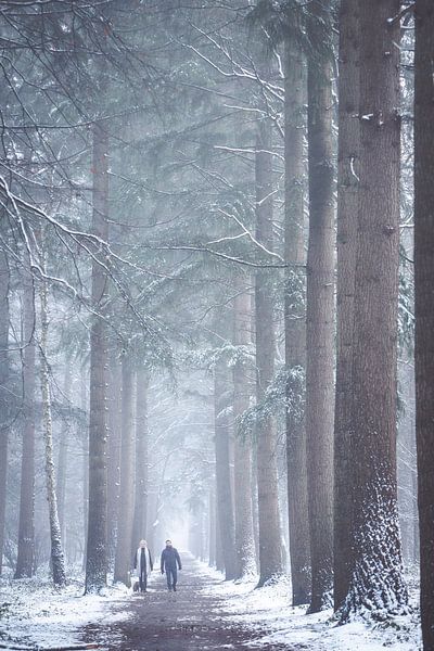 Winters bomen laantje in het Zeisterbos! van Peter Haastrecht, van