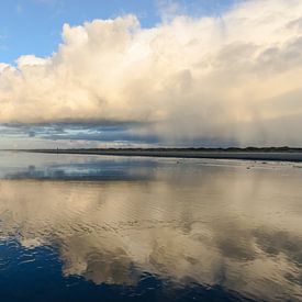 vlieland noordzeestrand sur hein van houten