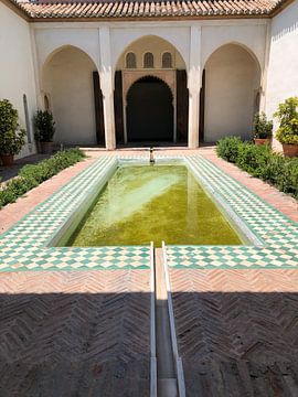 Patio Alcazaba by Laclouvi