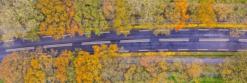 Autumn colours by Romina Spiess