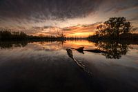 Der Biesbosch mit seinem schönen Sonnenuntergang.