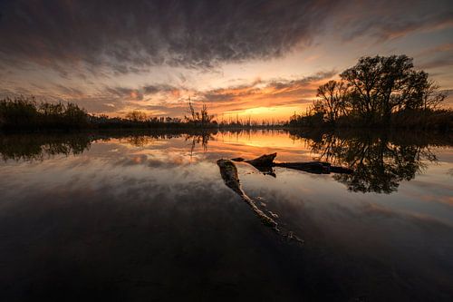The Biesbosch with its beautiful sunset.