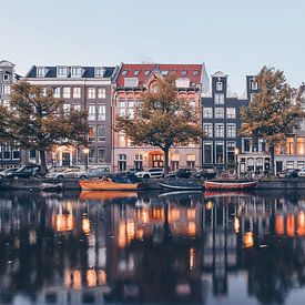 First Lights van Een Wasbeer