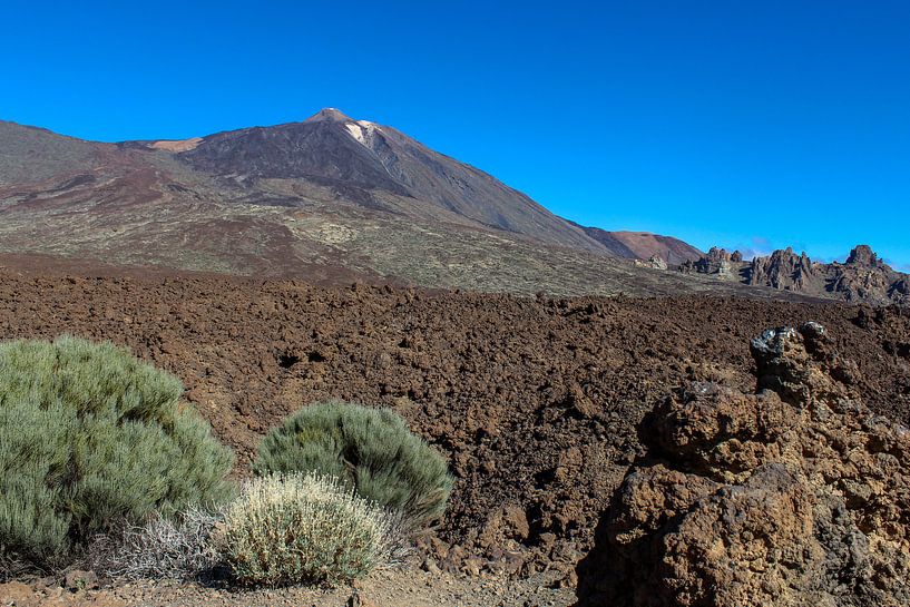 De Pico Del Teide op Tenerife van Reiner Conrad