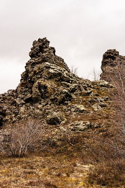 Dimmuborgir, Lavalandschaft in Island von VeraMarjoleine fotografie