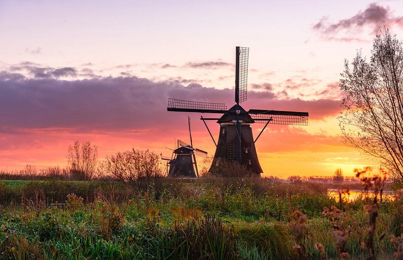 Lever du soleil à Kinderdijk par Gea Gaetani d'Aragona