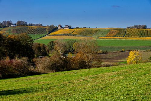 The Yeker valley with a view of the apostelhoeve  in the warm autumn colours