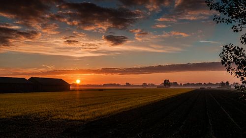 Zonsopgang boven de weilanden