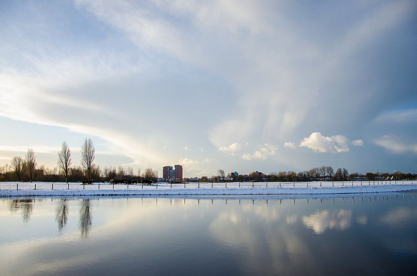 Broekpolder, Heemskerk by Yvonne van der Meij