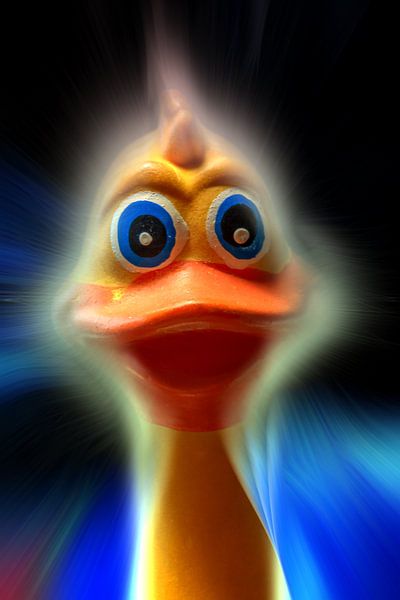 DOG TOY : FRIDA THE DUCK by Photoart-Naegele