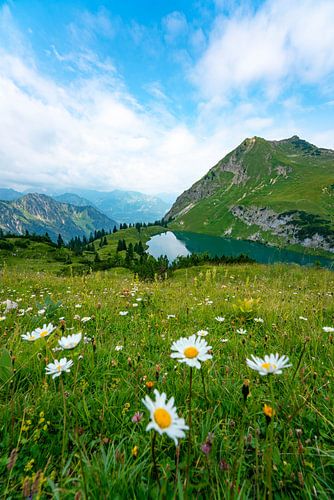 Bloemrijk uitzicht op de Seealpsee in de Allgäuer Alpen