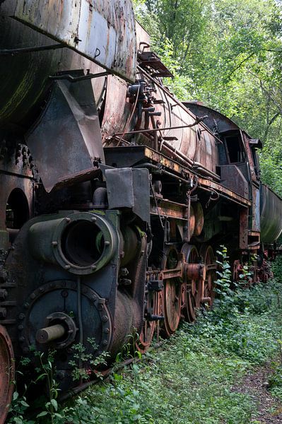 Abandoned steam train by Tim Vlielander