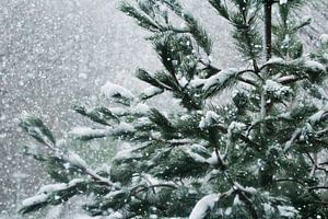 Schneetreiben