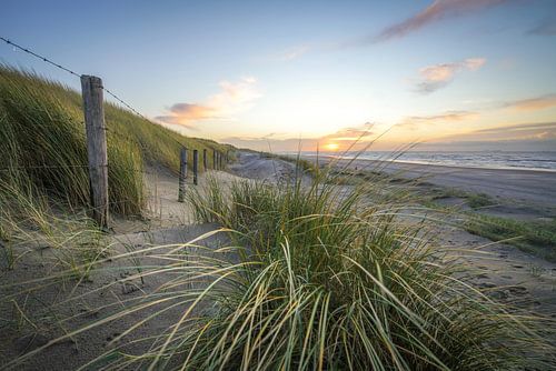 Dunes et plage sur la côte des Pays-Bas