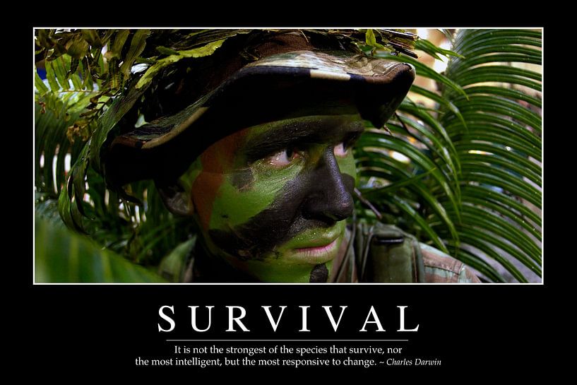 STK107202M-Survival: Inspirerende Quote en Motiverende Poster van Stocktrek Images