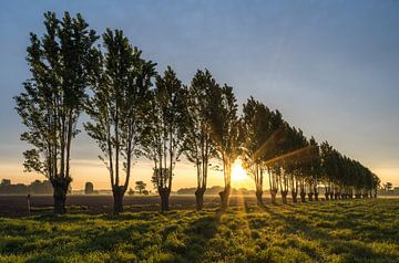 Evergem Langewegel sur Peter Deschepper