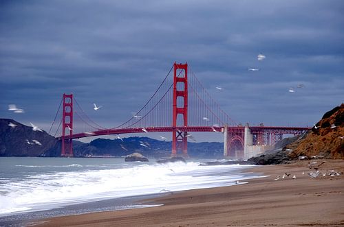 Pont du Golden Gate  sur Marianne Bal