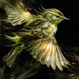 Vögelchen in Ölfarbe von Gelissen Artworks