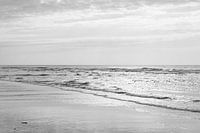 Zwart Wit Strand