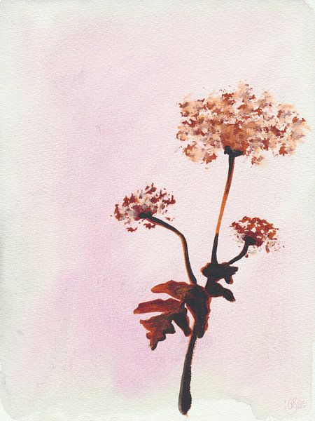 Plume by Its all Round Art