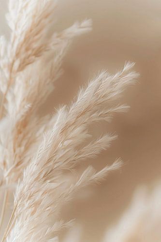 Pampasgras, beigetöne, Kunst, Wohnzimmer, Natur, schlichte Eleganz, Details, beruhigend, harmonisch, friedlich, Dekoration, zeitlos