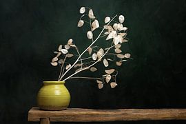 Nature monnaie du pape, inspirée par les œuvres des maîtres néerlandais sur Joske Kempink