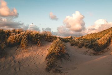 Across the Dunes by Wouter van der Weerd