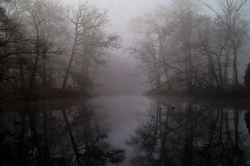 Là où le silence se reflète