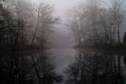 Wo Stille reflektiert