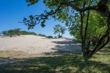 Dünenlandschaft von Peter Bartelings