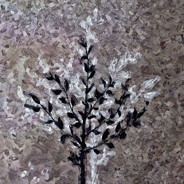 Young plants by Kay Weber