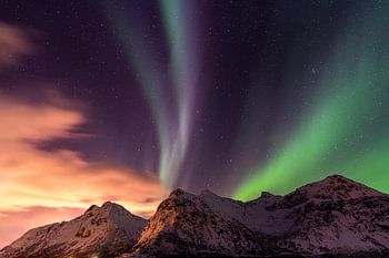 Noorderlicht