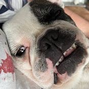 Roland Nemeth Profile picture