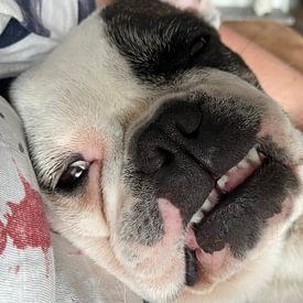 Roland Nemeth Profilfoto