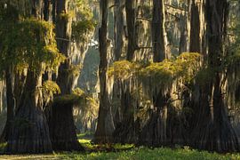 The meeting by Martin Podt