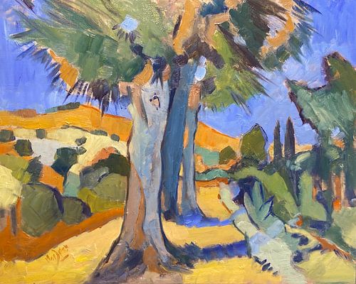 Bomen in Zuid Frankrijk