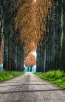 Farm Road