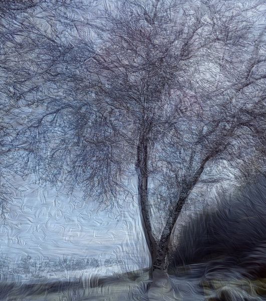 Winterboom van Susan Hol
