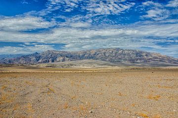 Desert landscape in Death Valley in California by Patricia Hofmeester