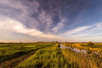 Natuurgebied De Onlanden van Erwin Gorter