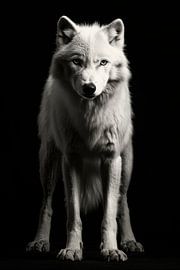 Wolf van Poster Art Shop