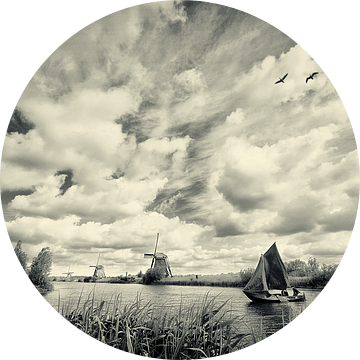 Oude zalmschouw bij Kinderdijk van Halma Fotografie