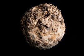 Knollensellerie auf schwarzem Hintergrund von Iris Koopmans