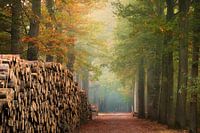 De houten muur