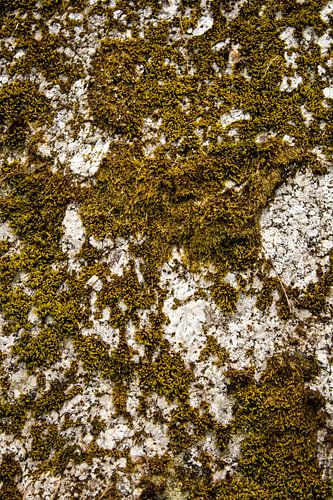 La nature prend le dessus